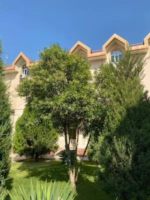 МЕВАЛИ ВА ДЕКОРАТИВ КОЧАТЛАР