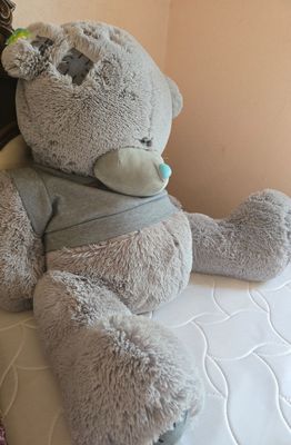 teddy ayiq