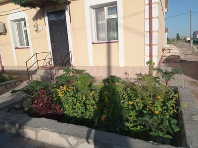 Коттедж сотилади