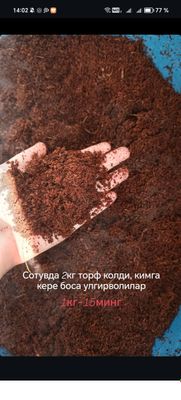 торф улиткалар учун