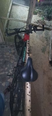 Velosiped velosiped