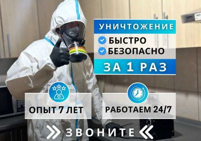 Dezinfeksiya Дезинфекция tarakan klop klapa burga chivin pashsha клоп