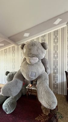 Kotta teddy ayiq