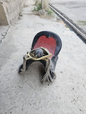 Ot egar sotiladi
