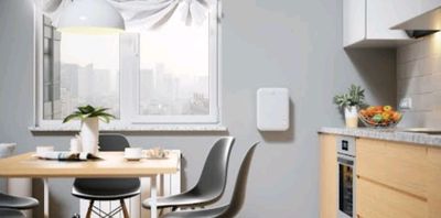 Чистый кислород Ballu ONEAIR ASP-80