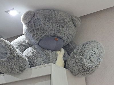 Новогодняя акция Teddy bear