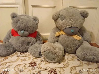 teddy mishka