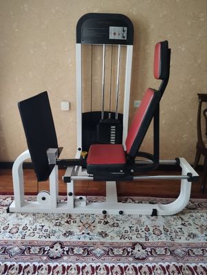 горизонтальный жим для ног