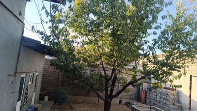 Toshkent shahar Sergeli Honabod 1 lina.Uy sotiladi 5 xona 5 sotix.
