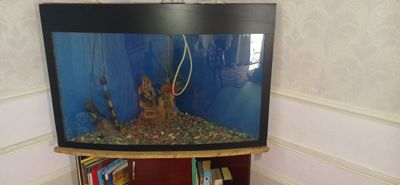 Akvarium sirochna sotildi