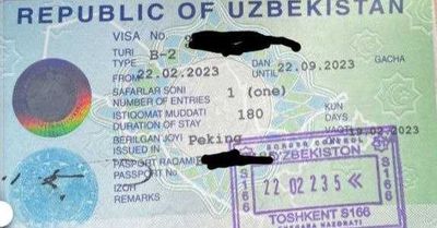 Виза В-2, В-1, Е, PV помогу подготовить документы.