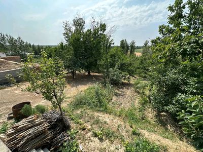 Uchaska bor PARKENTDA