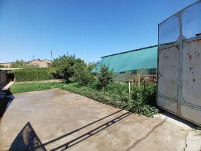 Oltin tepa tutzor havas otib chapga kirganda dala hovli