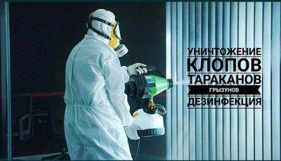 Мы работаем на результат! ГАРАНТИЯ! Клопы, тараканы. Дезинфекция.