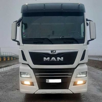 Man TGX 460 euro 6 + Krone SLS 300