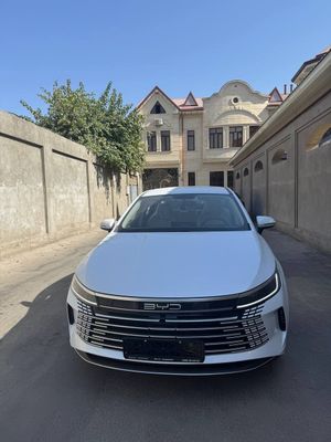 BYD chazor 2025 yil