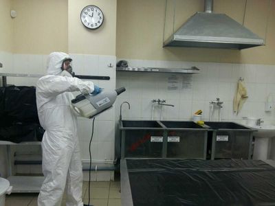 Клопы тараканы плесень клещи комары крысы запахи