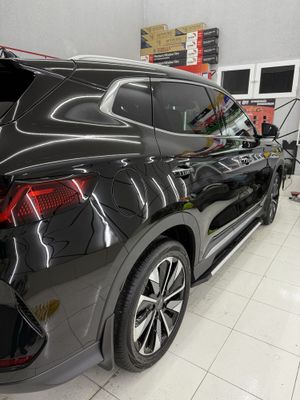 Byd champion 605