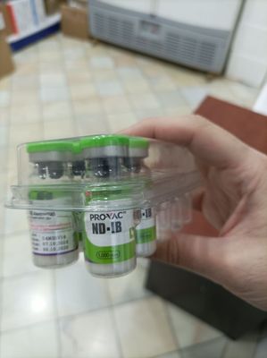Корейская вакцина для птиц