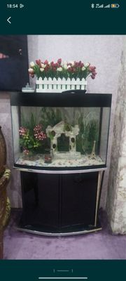 akvarium ideal holatda iwlatlgan but btun hamma joyi zor tegidi pasta