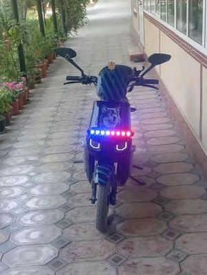 shu skutr sotiladi aybi yuq nargi 5 500 kelishilad