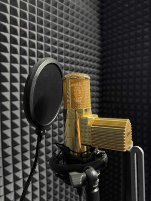 Warm Audio WA-8000 Limited Edition Gold