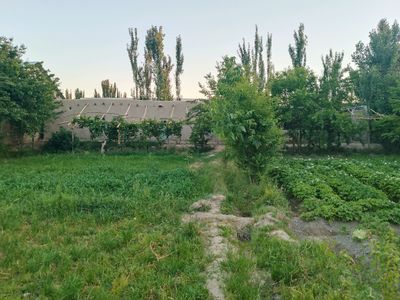 Buxoro viloyati jondor tumani