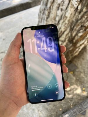 iPhone 12 Pro Max