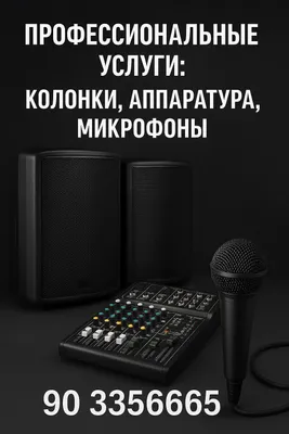 колонки-аппаратуры, профессиональная услуга не дорого