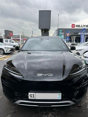 BVD Chempion 605 km 2024