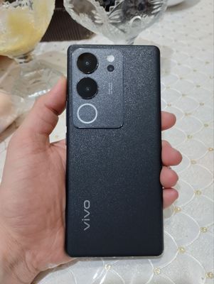 Vivo V29 5G 12+8/256