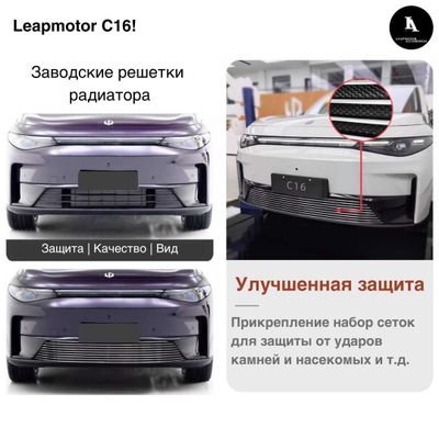 Защитная решетка для радиатора Leapmotor C16!