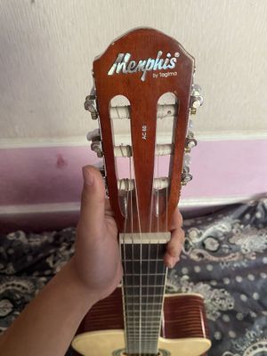 Гитара Memphis bu tagima AC 60