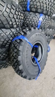 425/85R21PR22 ADVANCE шина дла вездеход.