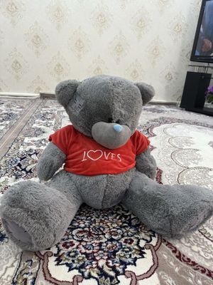 Teddy ayiqcha