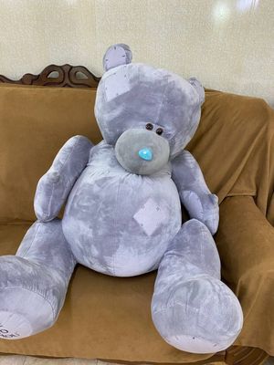 Мишка Teddy, Ayiq Teddy