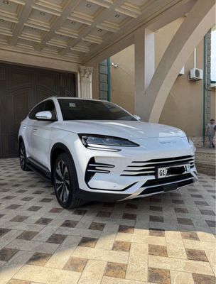 BYD chempion 2025
