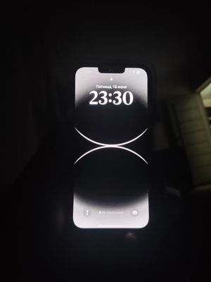 iPhone 13 pro max