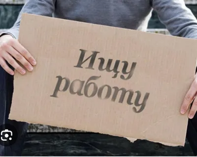 ищу работу