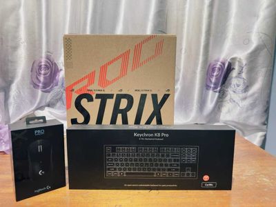 ASUS ROG Strix G614J Yangi holatda