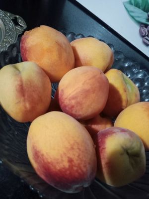 shaftoli  sotiladi