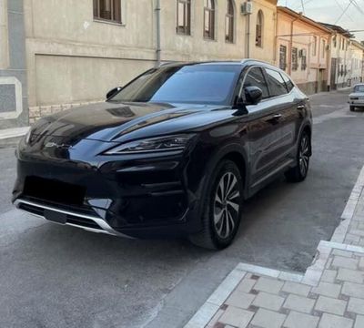 Byd Champion 605km