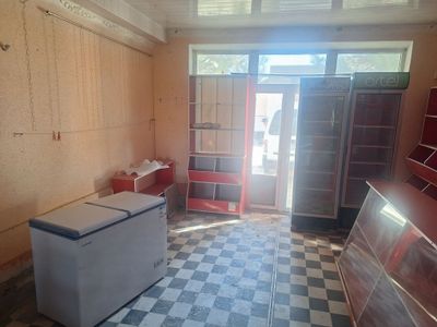 Vetrena xolodennik marazelka . Dukon uchun rastalar. Hammasi sotiladi