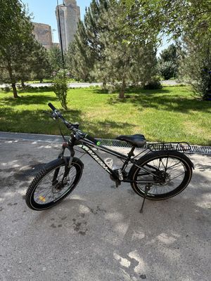 Velosepid 24 altezza