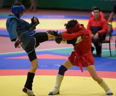 Боевое самбо для детей