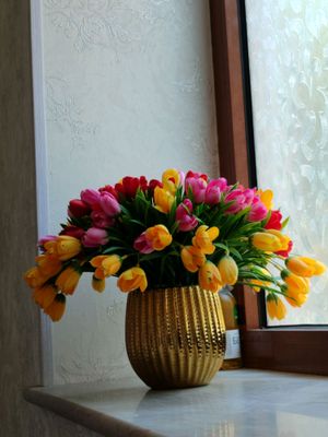 Lolalar sovĝaga yoki uyingiz uchun