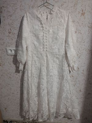 Vecherniy koylak