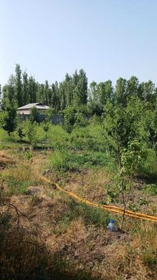 Корасув Кировда 8 сотих йер сотилади СРОЧНО!!!