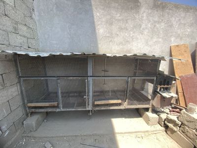Temir katak holati zor quyon va boshqa hayvonlar boqsa boladi