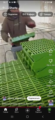 Plasmassa qoyhonaga